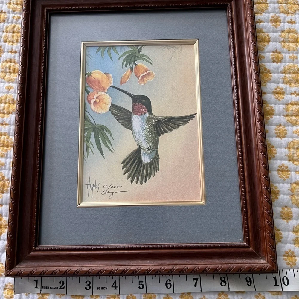 Hummingbird Watercolor by Haynes Framed